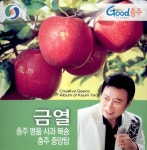 충주 명품 사과 복송 / 충주 중앙탑 - 벅스 충주 명품 사과 복송 / 충주 중앙탑 / 금열
