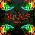 Black Box (X Cocca, 백범)/심플디(S2mple-D) - 벅스 Black Box (X Cocca, 백범) / 심플디(S2mple-D)