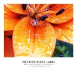 성인들의 마음 건강을 위한 행복 뉴에이지 - 벅스 성인들의 마음 건강을 위한 행복 뉴에이지 / Emotion Piano Label