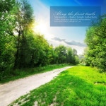 숲길을 따라서 - 벅스 숲길을 따라서 / 하늘정원