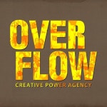 Overflow/오버플로우(Overflow) - 벅스 Overflow / 오버플로우(Overflow)
