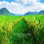 명상으로 상처받은 마음을 치유하는 감성 피아노 (명상 테라피) - 벅스 명상으로 상처받은 마음을 치유하는 감성 피아노 (명상 테라피)... 