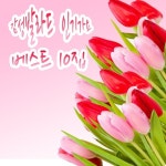 감성발라드 인기가요 베스트10집 - 벅스 감성발라드 인기가요 베스트10집 / The 발라드