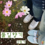 풀잎향기/안동기 - 벅스 풀잎향기 / 안동기