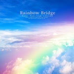 무지개다리 - 벅스 무지개다리 / 티아모