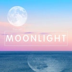 문라이트 (Moonlight) - 벅스 문라이트 (Moonlight) / 문라이트(Moonlight)