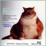 Papa - 벅스 Papa / 티지(TG)