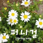 퍼니걸 1집 - 벅스 퍼니걸 1집 / 퍼니걸
