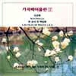 가곡 바이올린 2 - 벅스 가곡 바이올린 2 / 강영모