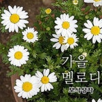 노을/보석상자 - 벅스 노을 / 보석상자