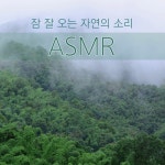 마음이 편안해지는 자연의 소리 ASMR - 벅스 마음이 편안해지는 자연의 소리 ASMR / 뮤직PD