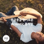 몽글몽글 향기로운 Acoustic 봄캐럴 - 벅스 몽글몽글 향기로운 Acoustic 봄캐럴 / 뮤직카로마