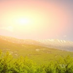 순간의 설레임 순간의 행복을 줄 피아노 - 벅스 순간의 설레임 순간의 행복을 줄 피아노 / 감성레이시