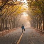 혼자만의 가을 산책: 재즈가 된 클래식 - 벅스 혼자만의 가을 산책: 재즈가 된 클래식 / 재즈플래닛