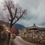 갤러리 : 캐논코리아컨슈머이미징㈜ 캐논코리아컨슈머이미징