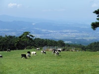 [돗토리로 떠나는 시간여행] 천연균 발효 빵, 자연의 한 조각을 먹는 듯... [돗토리로 떠나는 시간여행] 천연균 발효 빵, 자연의 한 조각을 먹는 듯…