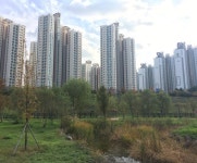 입주 8년차 운정신도시, 이젠 좀 살만합니까 - 땅집고 > 뉴스 입주 8년차 운정신도시, 이젠 좀 살만합니까