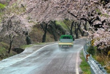 [포토] 남해는 지금