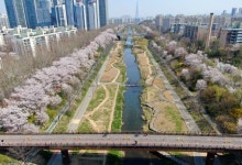 양재천 출입 통제 사회적 거리두기