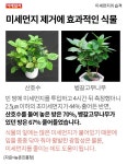 [카드뉴스] 미세먼지의 습격