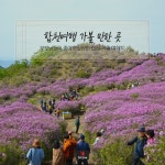 품격이 다른 합천여행, Best 3