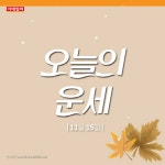 [카드뉴스]나서면 좋아요…오늘의 운세