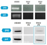 인보사 허가 취소 결정적 근거 셋…불리한 자료 일부러 제출 안 해