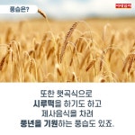 [절기매직]‘이제 진짜 겨울인가요?’ 오늘은 ‘입동’