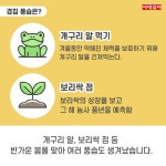 [절기매직]봄이 왔나 봄!, 오늘은 경칩