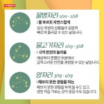 [카드뉴스]물 흐르듯 자연스럽게...오늘의 운세