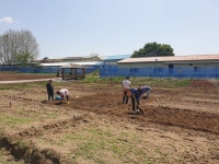 ‘도심 속 텃밭’ 수원 탑동시민농장 개장