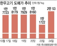 럼피스킨병 전국 확산 조짐…한우 도매가 1주일만에 13% 급등