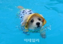 [포토]개시원해