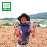 해야영농조합 해야농장 무안 유기농 햇 고구마 으뜸이 5kg [1개] - 에누리 가격비교