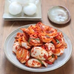 해남화원농협 양파장김치 3kg [1개] - 에누리 가격비교