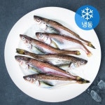 세웅수산 동해 알배기 도루묵 850g[1개] - 에누리 가격비교