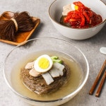 설악푸드 설악칡냉면 10인분+설악동치미육수5봉+양념장500g - 에누리 가격비교