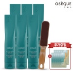 바디워시/스크럽 - 에누리 가격비교