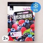 호재준 트리플베리 냉동 500g 2개 - 에누리 가격비교