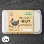 와이제이푸드시스템 양지뜨레 무항생제 동물복지 유정란 15구 [6개] - 에누리 가격비교
