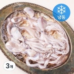 비비수산 살아있을때 얼린 신선한 낙지 8미 850g [3개] - 에누리 가격비교