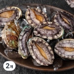 다복수산 청정바다를 담은 다복 활전복 소 9~10미 500g [2개] - 에누리 가격비교