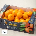 한성영농조합 귤탐 당도선별 감귤 11brix 소과 2kg [5개] - 에누리 가격비교