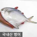 여수고기 국내산 병어 15마리 3마리 5팩 - 에누리 가격비교