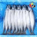 동아푸드 노르웨이 간고등어 5손 대 10마리 3.3kg - 에누리 가격비교