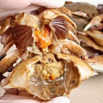 현진푸드 삼절꽃게장 4kg [1개] - 에누리 가격비교