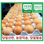 금포영농조합법인 알부자집 무항생제 계란 특란 30구 [1개] - 에누리 가격비교