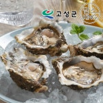 동성수산 공룡나라 국산 석화 5kg [1개] - 에누리 가격비교