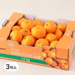우진푸드 곰곰 고당도 12.5brix 감귤 1.5kg[3개] - 에누리 가격비교