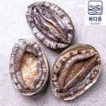 온프레시 완도활전복 7~8미 1kg [1개] - 에누리 가격비교